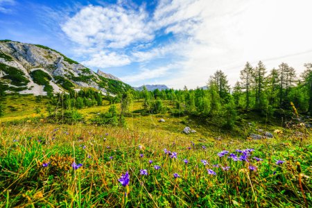 Naturaleza en la meseta alta del Tauplitzalm. Vista del paisaje en el Toten Gebirge en Estiria. Entorno idílico con montañas y naturaleza verde en el Tauplitz en Austria.