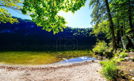 View of Lake Toplitz and the surrounding landscape. Idyllic nature by the lake in Styria in Austria. Mountain lake at the Dead Mountains in the Salzkammergut.