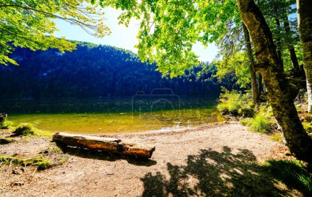 Vue sur le lac Toplitz et le paysage environnant. Nature idyllique au bord du lac en Styrie en Autriche. Lac de montagne aux Montagnes Mortes dans le Salzkammergut.