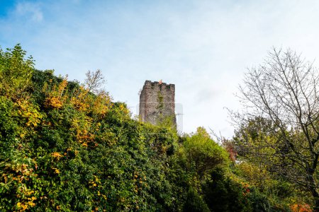 Vue du château de Hornberg dans la Forêt Noire. Ville de Baden-Wrttemberg avec un vieux château en ruine.