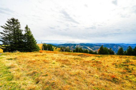 Landscape in autumn at Feldberg in the Black Forest. Feldbergsteig hiking trail. Nature in the Breisgau-Hochschwarzwald district in Baden-Wuerttemberg.