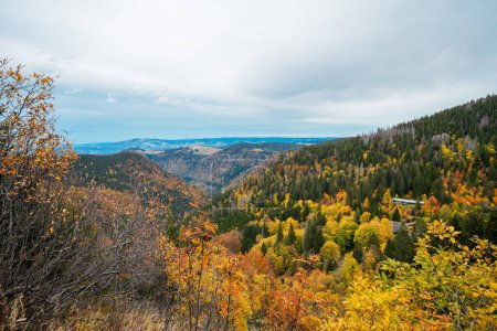Herbstliche Landschaft am Feldberg im Schwarzwald. Feldbergsteig. Natur im Kreis Breisgau-Hochschwarzwald in Baden-Württemberg.