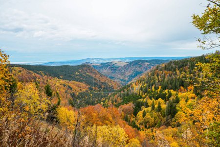 Landscape in autumn at Feldberg in the Black Forest. Feldbergsteig hiking trail. Nature in the Breisgau-Hochschwarzwald district in Baden-Wuerttemberg.