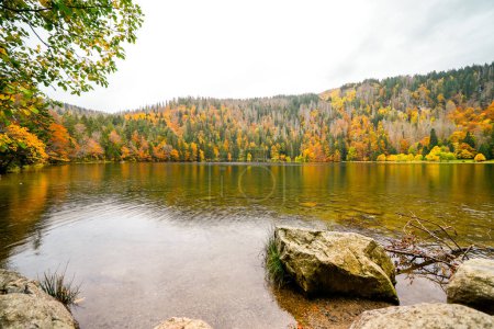 Paysage en automne à Feldberg dans la Forêt Noire. Sentier de randonnée Feldbergsteig. Nature à Feldsee dans le quartier Breisgau-Hochschwarzwald à Baden-Wuerttemberg.