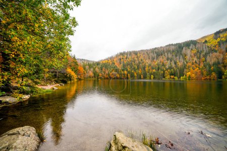Herbstliche Landschaft am Feldberg im Schwarzwald. Feldbergsteig. Natur am Feldsee im Kreis Breisgau-Hochschwarzwald in Baden-Württemberg.