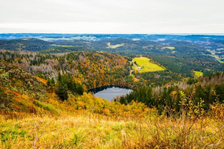 Paysage automnal sur le Feldberg dans la Forêt Noire avec vue sur le Feldsee et la nature environnante avec forêts et collines.