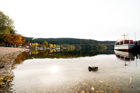 View of the Titisee near Titisee-Neustadt in the Black Forest and the surrounding nature. Landscape by the lake in autumn.