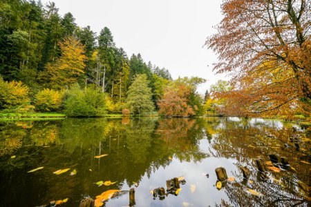 Landschaft am Waldsee bei Haslach im Kinzigtal. Natur im Herbst am See.