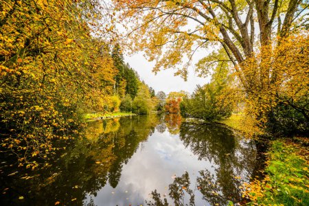 Paisaje en el lago del bosque cerca de Haslach en el Kinzigtal. Naturaleza en otoño junto al lago.