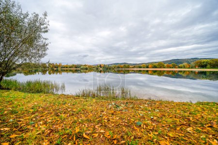 Paisaje en el Wiesensee cerca de Hemsbach. Naturaleza junto al lago en otoño.