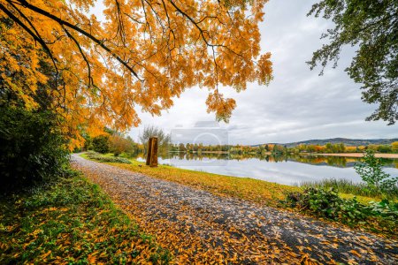 Paisaje en el Wiesensee cerca de Hemsbach. Naturaleza junto al lago en otoño.