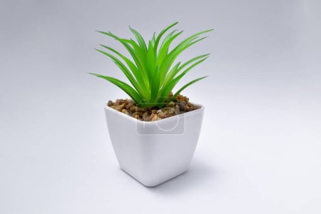 Foto de Plastic plants in pots for home decoration - Imagen libre de derechos