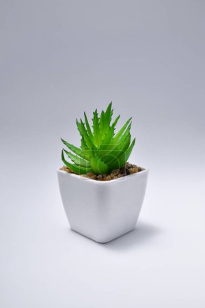 Foto de Plastic plants in pots for home decoration - Imagen libre de derechos