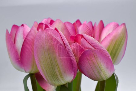 Foto de Close up, Plastic pink tulip flowers in glass vase isolated on white background, floral decoration - Imagen libre de derechos