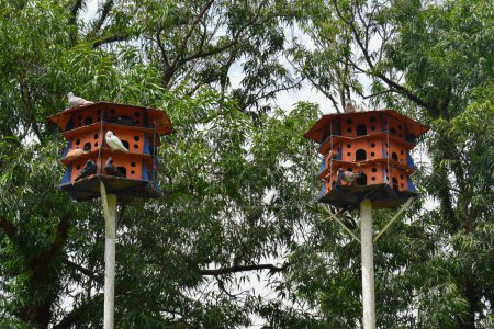 Foto de The design of the pigeon cage is made of wood with a roof. Installed in City park - Imagen libre de derechos