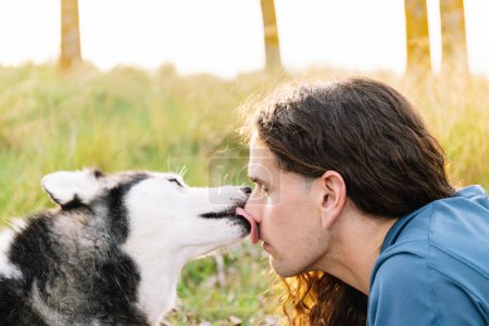 Photo horizontale un gros plan chaleureux d'un homme recevant un doux baiser de son husky affectueux, soulignant leur lien fort dans un champ ensoleillé. Concept de style de vie.