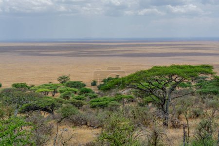 Photo for Savannah landscape in Serengeti National Park. High quality photo - Royalty Free Image