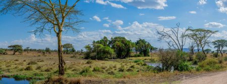 Photo for Savannah landscape in Serengeti National Park. High quality photo - Royalty Free Image