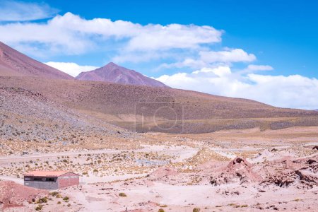 Téléchargez les photos : Paysage volcanique dans l'altiplano bolivien. Photo de haute qualité - en image libre de droit