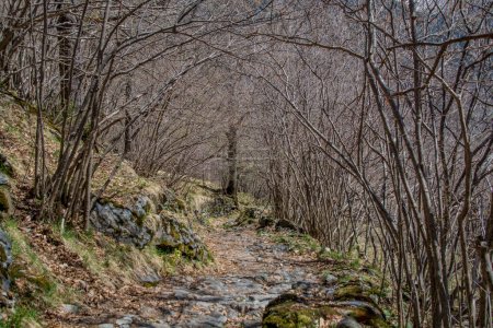 Téléchargez les photos : Pyrenees mountains landscape in spring. High quality photo - en image libre de droit