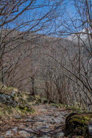 Foto de Pirineos montañas paisaje en primavera. Foto de alta calidad - Imagen libre de derechos