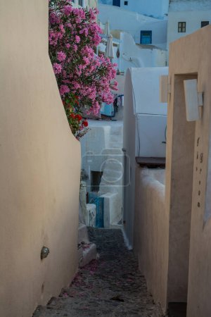 Téléchargez les photos : Vue sur le village d'Oia à Santorin. Photo de haute qualité - en image libre de droit