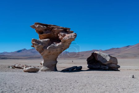 Foto de Árbol de piedra en el altiplano boliviano. Foto de alta calidad - Imagen libre de derechos