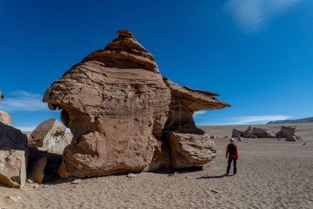 Foto de Árbol de piedra en el altiplano boliviano. Foto de alta calidad - Imagen libre de derechos