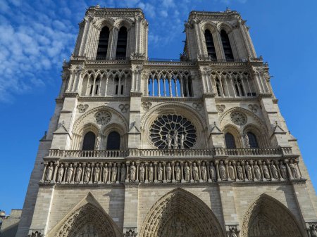 Foto de Catedral de Notre Dame de París. Foto de alta calidad - Imagen libre de derechos