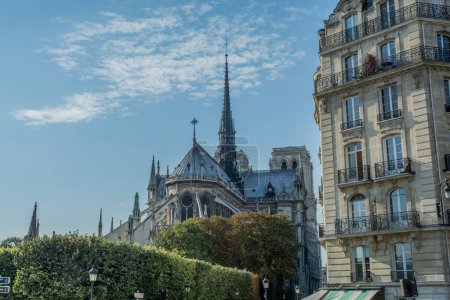 Téléchargez les photos : Cathédrale Notre Dame de Paris. Photo de haute qualité - en image libre de droit