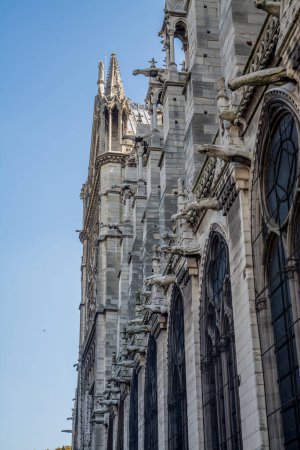Téléchargez les photos : Cathédrale Notre Dame de Paris. Photo de haute qualité - en image libre de droit