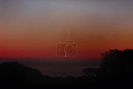 Foto de Cometa C2023 P1 Nishimura antes del amanecer. Foto de alta calidad - Imagen libre de derechos