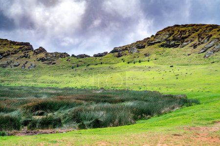 Téléchargez les photos : Paysage de Rapa Nui, île de Pâques. Photo de haute qualité - en image libre de droit