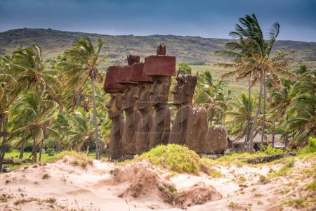 Téléchargez les photos : Moais sur la plage d'Anakena, Rapa Nui, sur l'île de Pâques. Photo de haute qualité - en image libre de droit