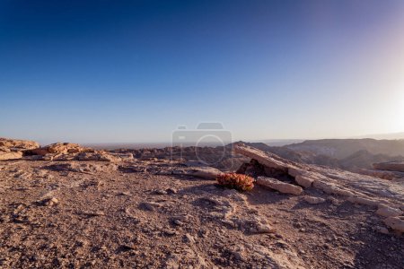 Téléchargez les photos : Paysage désertique de Valles de la Luna, à Atacama, Chili. Photo de haute qualité - en image libre de droit