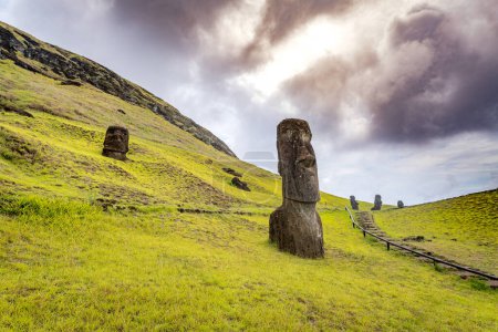 Téléchargez les photos : Moais dans la carrière de Rano Raraku, à Rapa Nui, île de Pâques. Photo de haute qualité - en image libre de droit