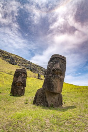 Foto de Moais en la cantera de Rano Raraku, en Rapa Nui, Isla de Pascua. Foto de alta calidad - Imagen libre de derechos