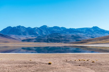 Téléchargez les photos : Paysage désertique des hautes terres du Chili. Photo de haute qualité - en image libre de droit