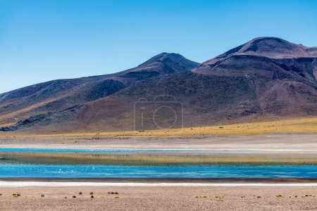 Téléchargez les photos : Paysage désertique des hautes terres du Chili. Photo de haute qualité - en image libre de droit