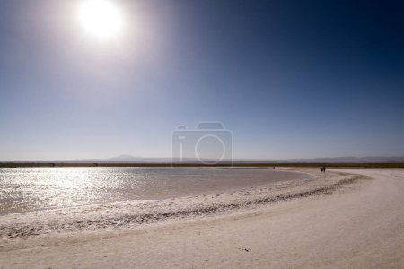 Photo for Desert landscape of the highlands of Chile. High quality photo - Royalty Free Image