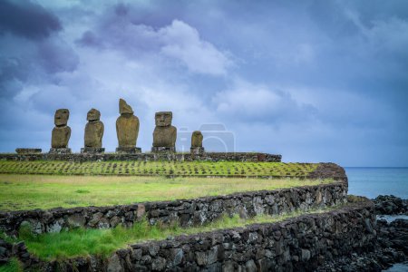 Foto de Moais en Tahai, Rapa Nui, Isla de Pascua. Foto de alta calidad - Imagen libre de derechos