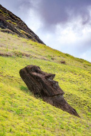 Photo for Moais in the quarry of Rano Raraku, in Rapa Nui, Easter Island. High quality photo - Royalty Free Image