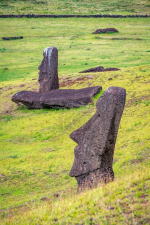 moais im Steinbruch von Rano Raraku, in Rapa Nui, Osterinsel. Hochwertiges Foto
