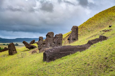 moais en la cantera de Rano Raraku, en Rapa Nui, Isla de Pascua. Foto de alta calidad
