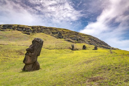 moais im Steinbruch von Rano Raraku, in Rapa Nui, Osterinsel. Hochwertiges Foto