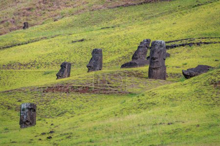 Téléchargez les photos : Moais dans la carrière de Rano Raraku, à Rapa Nui, île de Pâques. Photo de haute qualité - en image libre de droit