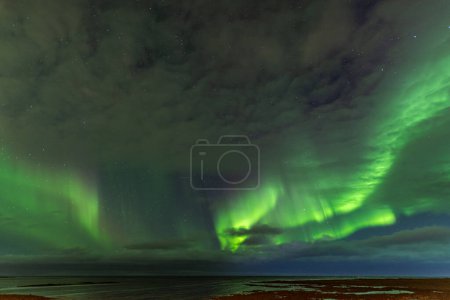 aurora borealis over the sea in Iceland. High quality photo