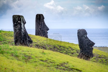 moais en la cantera de Rano Raraku, en Rapa Nui, Isla de Pascua. Foto de alta calidad