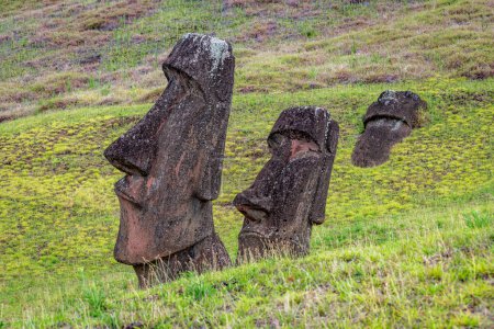 Photo for Moais in the quarry of Rano Raraku, in Rapa Nui, Easter Island. High quality photo - Royalty Free Image