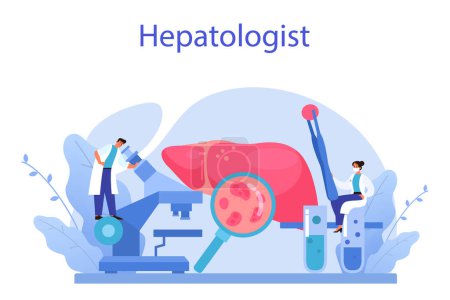 Illustration for Hepatologist concept. Doctor make liver examination, hepatectomy. Idea of medical treatment, embolization therapy, cholescintigraphy. Isolated vector illustration - Royalty Free Image